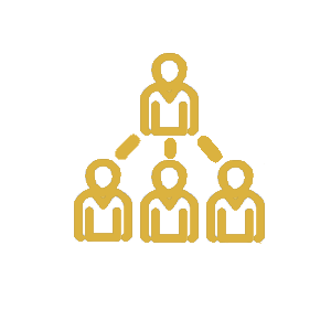 Technical audits